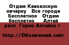 Отдам Кавказскую овчарку - Все города Бесплатное » Отдам бесплатно   . Алтай респ.,Горно-Алтайск г.